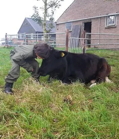 別荘 De Kaasmakerij - Ruim Op Huize Blokland *