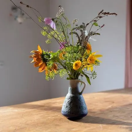 Сasa de vacaciones De Kaasmakerij - Ruim Op Huize Blokland Hem